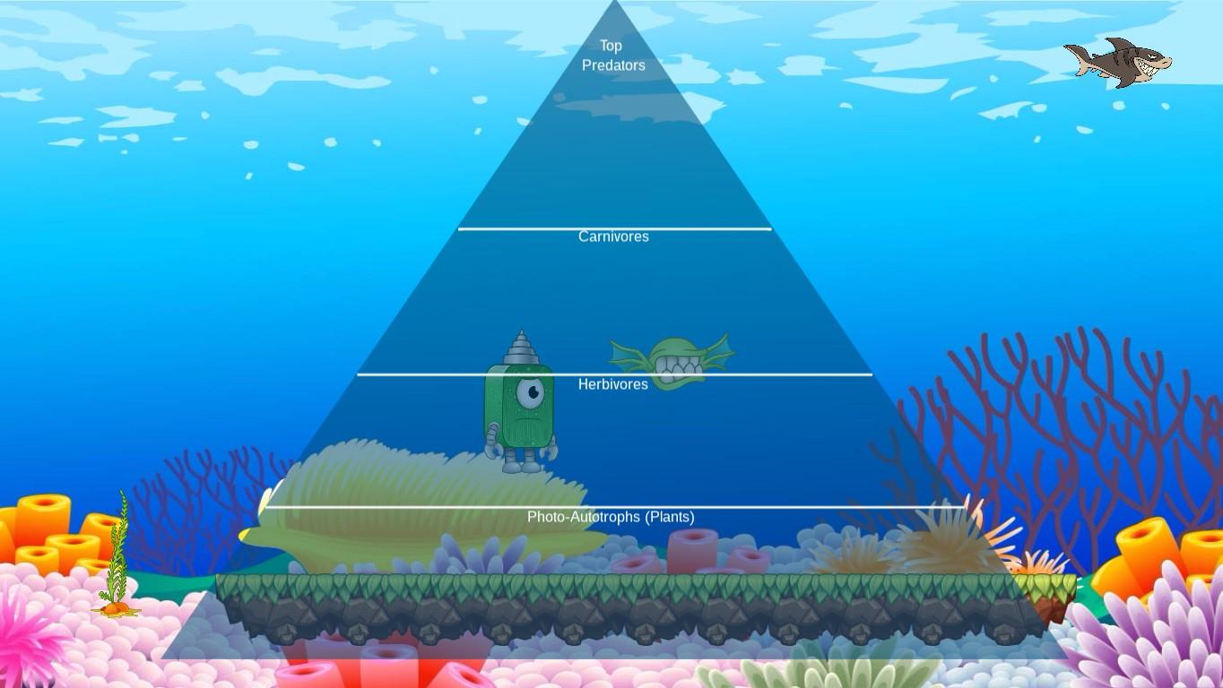 Ocean Ecological Pyramid