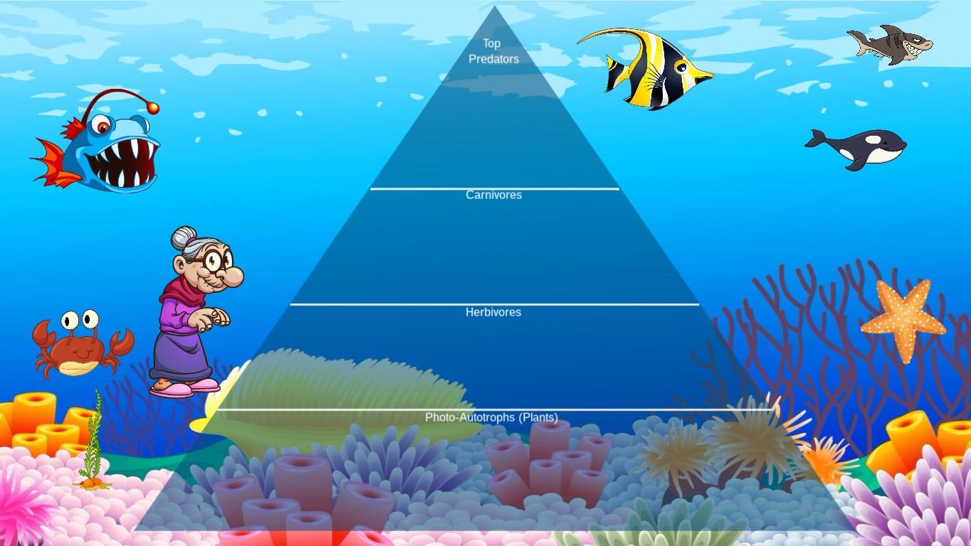 Ocean Ecological Pyramid