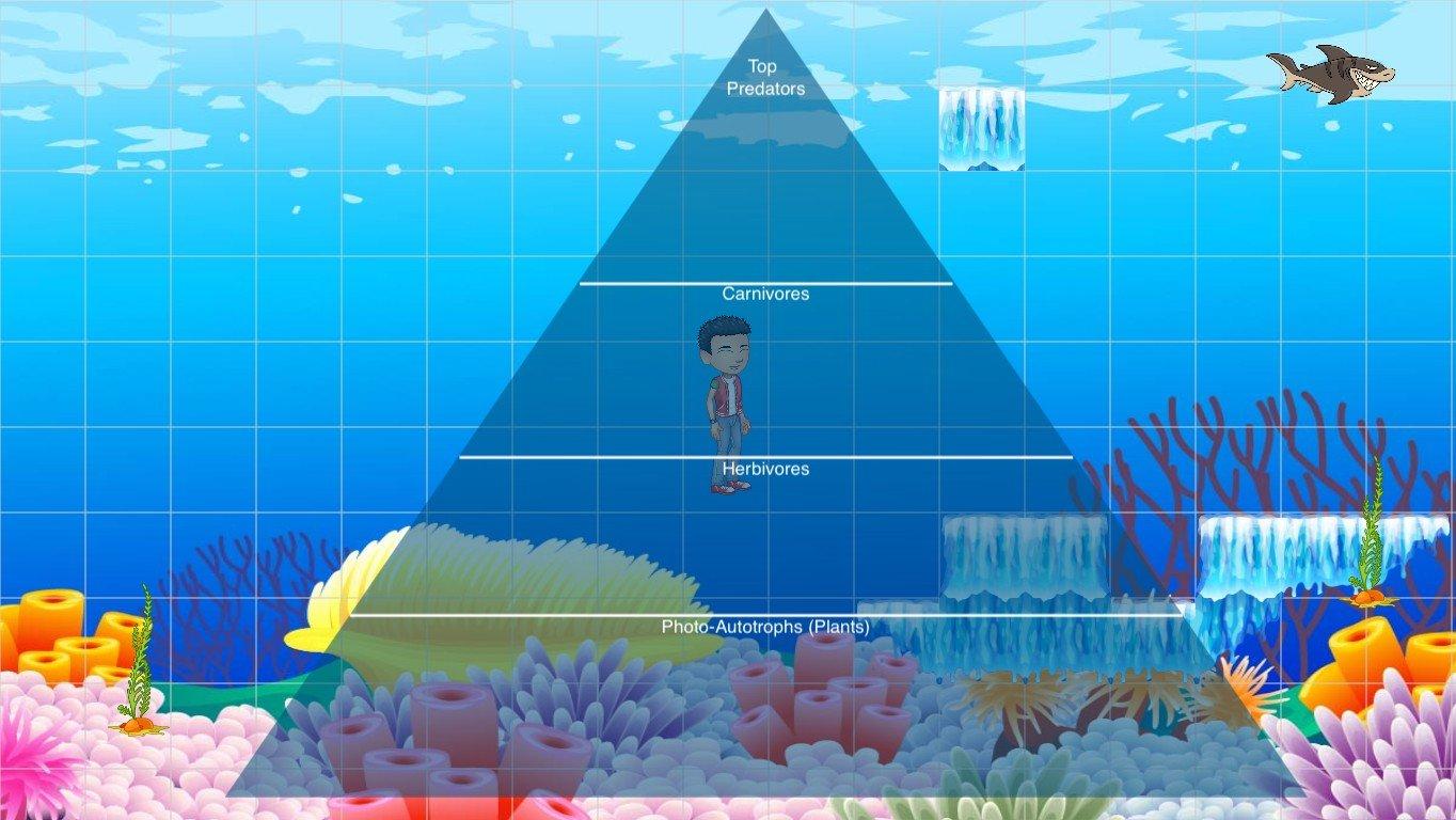 Ocean Ecological Pyramid