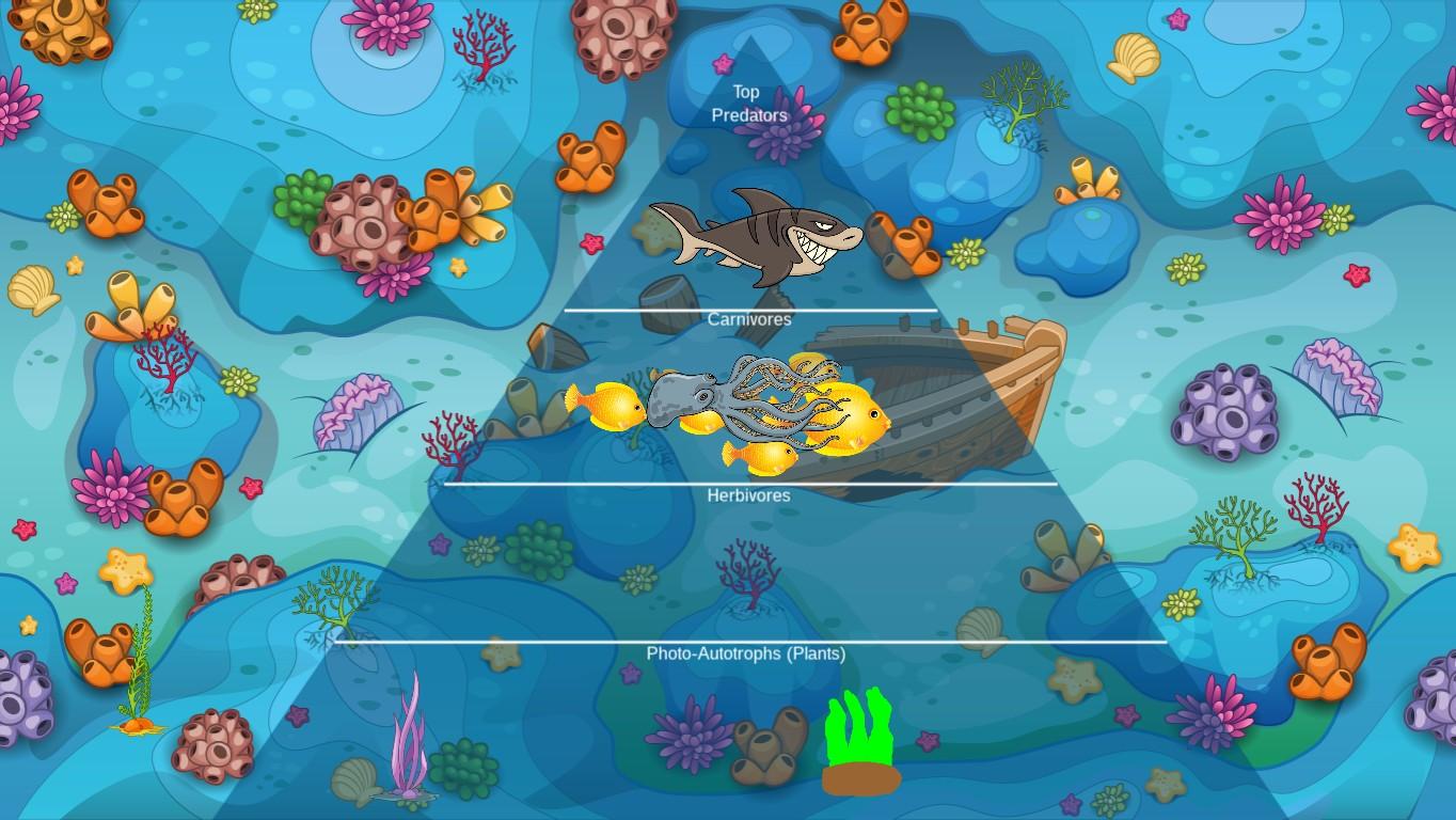 Ocean Ecological Pyramid