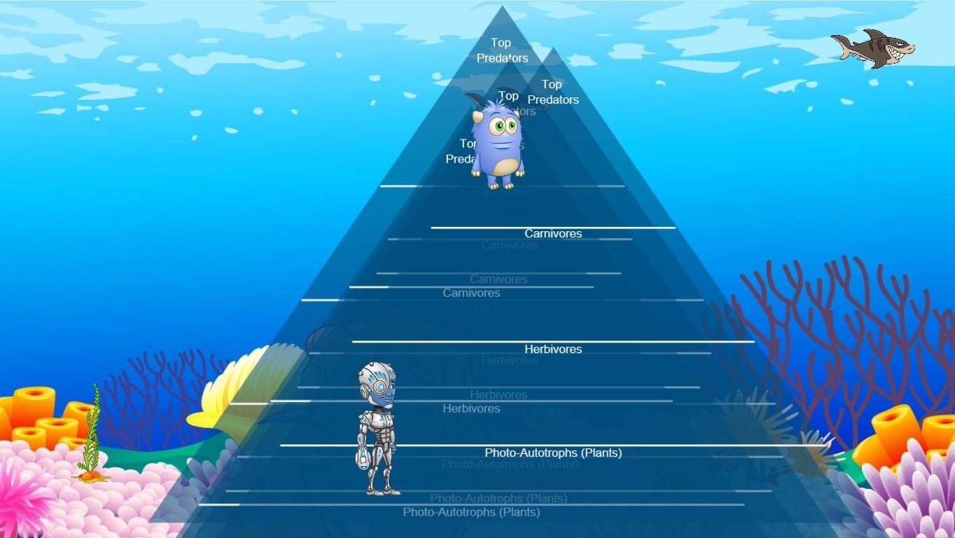 Ocean Ecological Pyramid