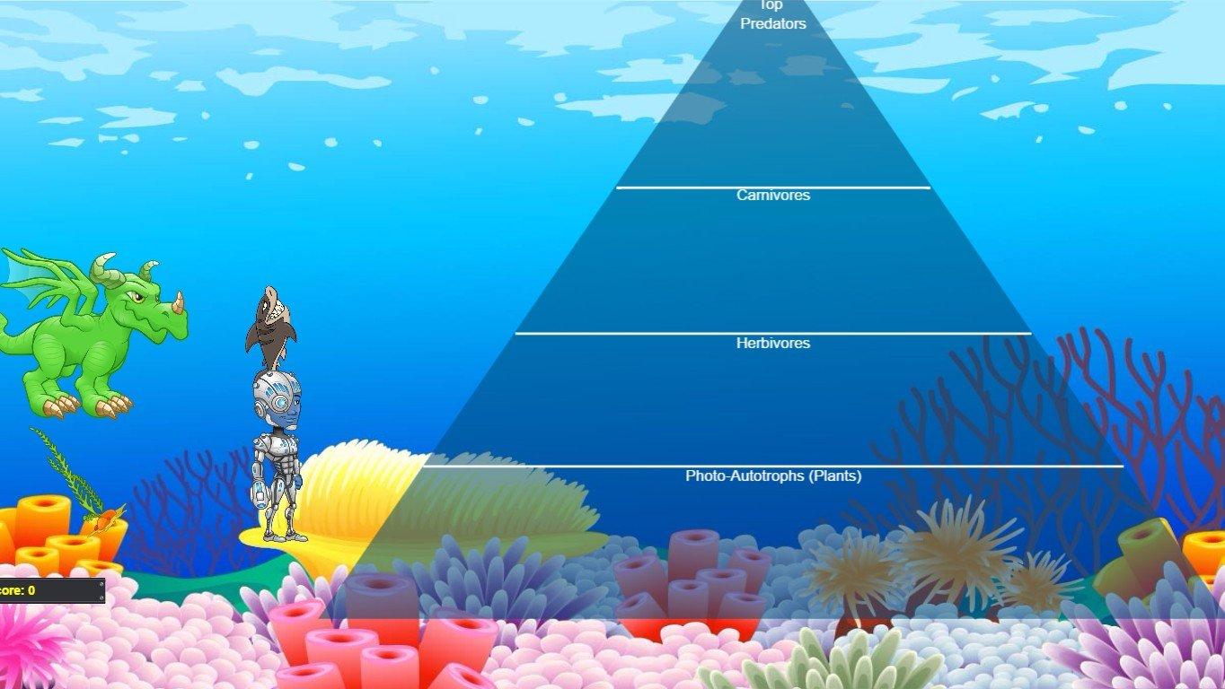 Ocean Ecological Pyramid