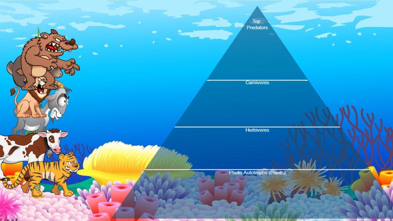 Ocean Ecological Pyramid