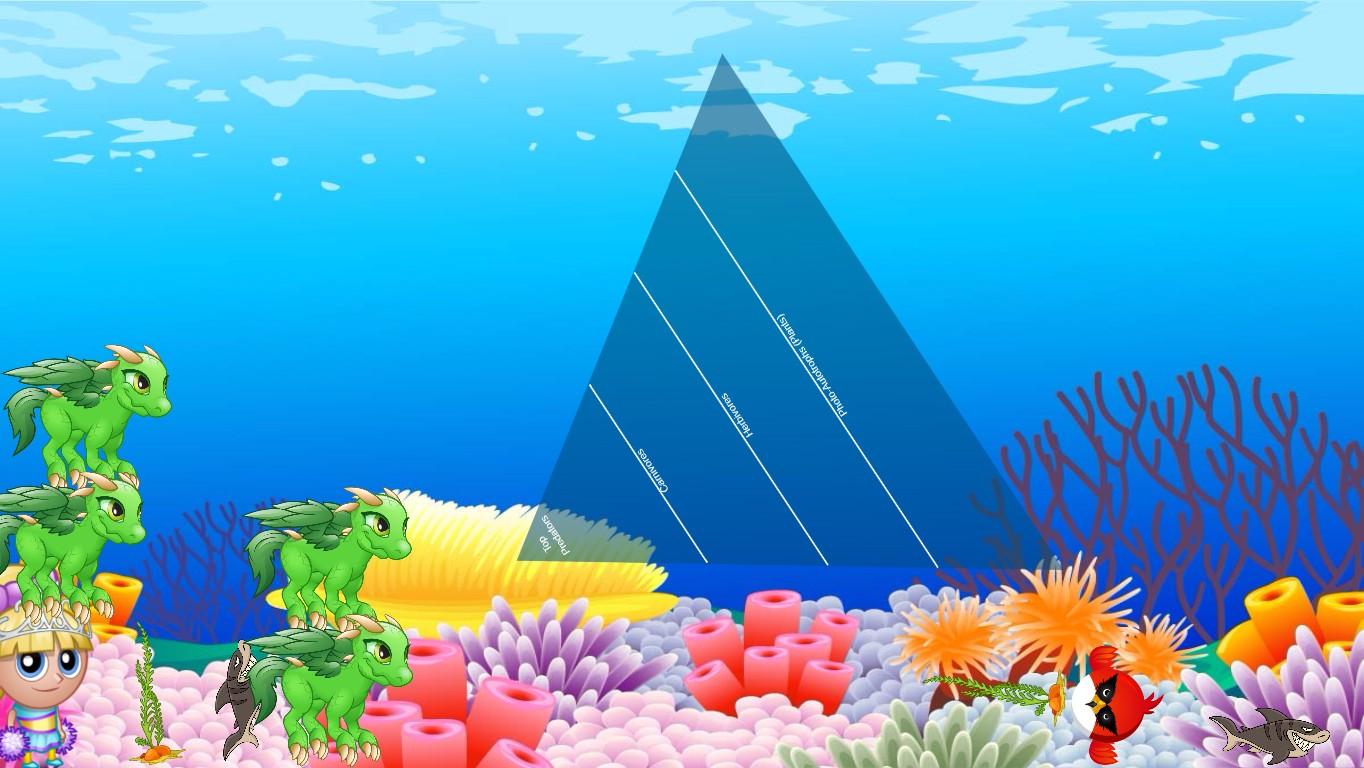 Ocean Ecological Pyramid