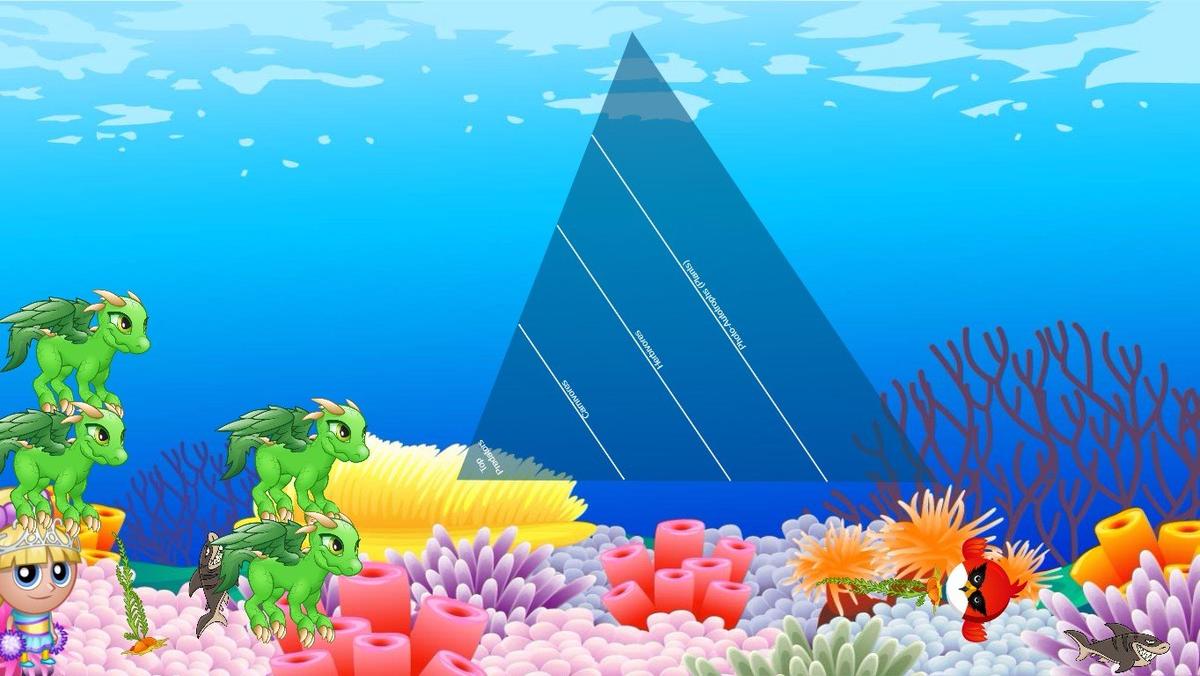 Ocean Ecological Pyramid