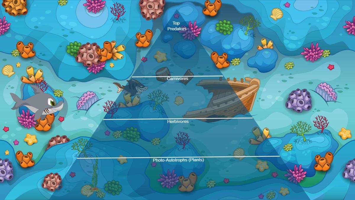 Ocean Ecological Pyramid