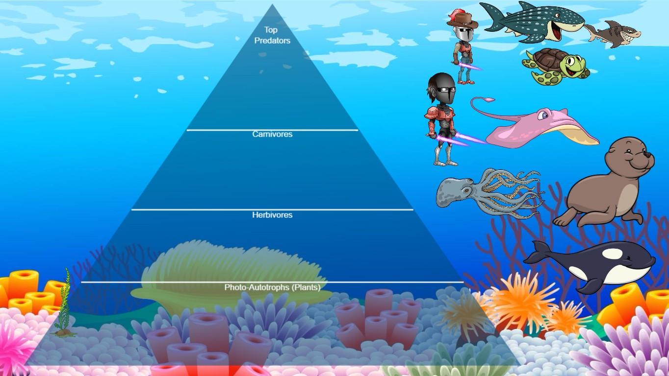 Ocean Ecological Pyramid