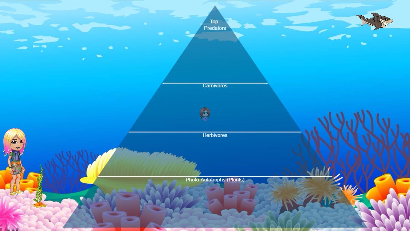 Ocean Ecological Pyramid