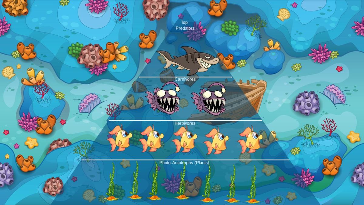 Ocean Ecological Pyramid