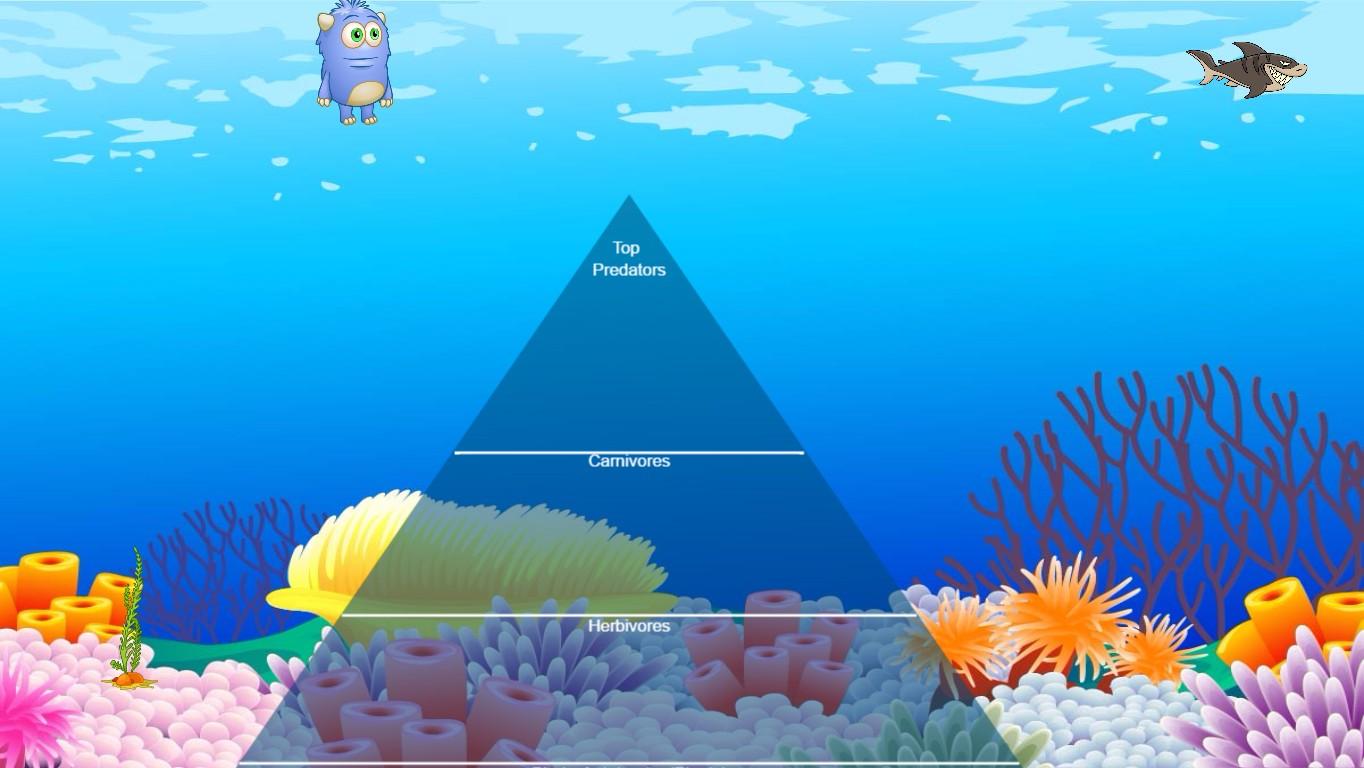 Ocean Ecological Pyramid