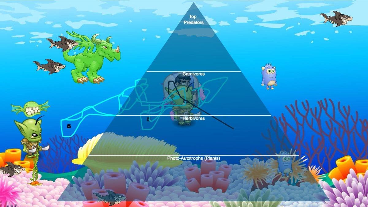 Ocean Ecological Pyramid