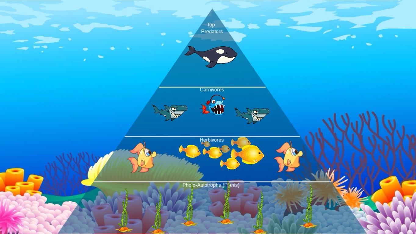 Ocean Ecological Pyramid