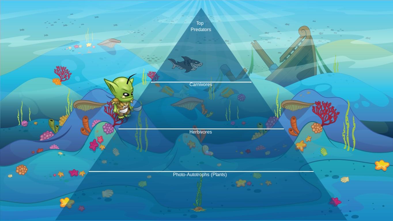 Ocean Ecological Pyramid