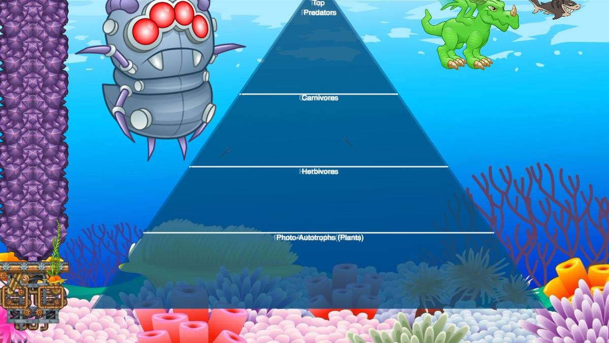 Ocean Ecological Pyramid