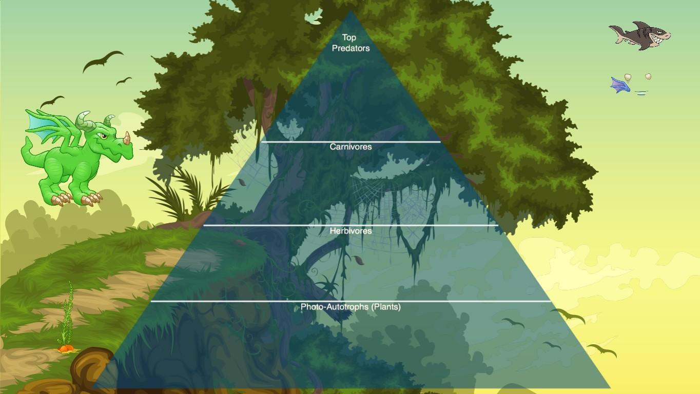 Ocean Ecological Pyramid