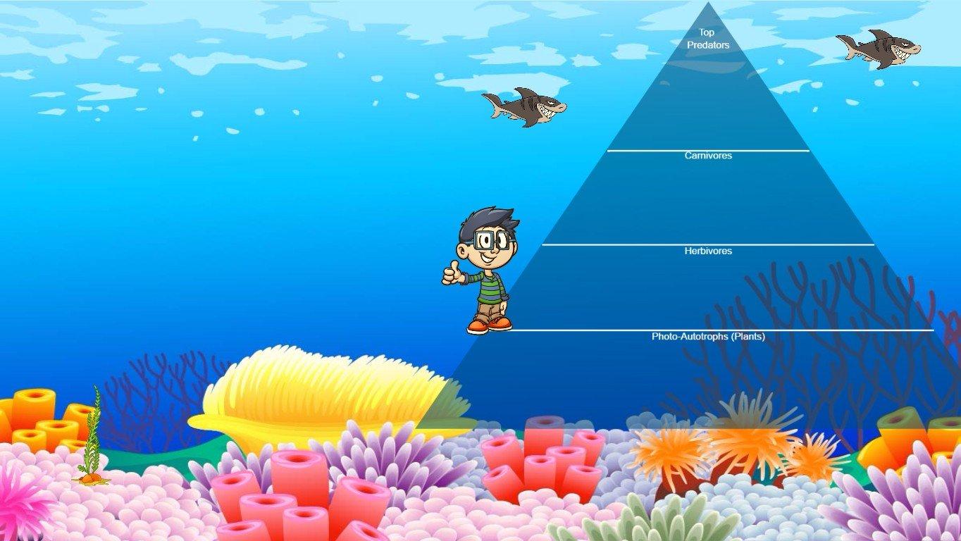 Ocean Ecological Pyramid