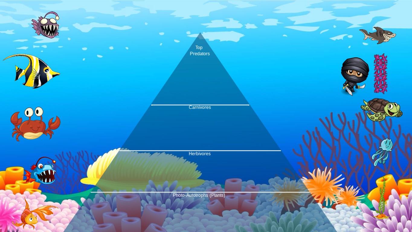 Ocean Ecological Pyramid