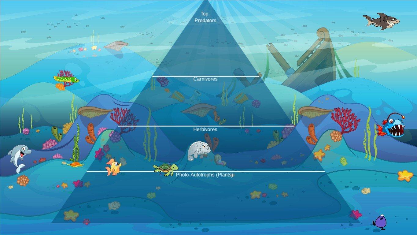 Ocean Ecological Pyramid