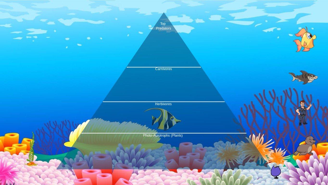 Ocean Ecological Pyramid