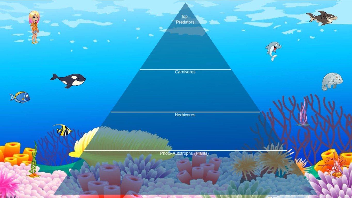 Ocean Ecological Pyramid