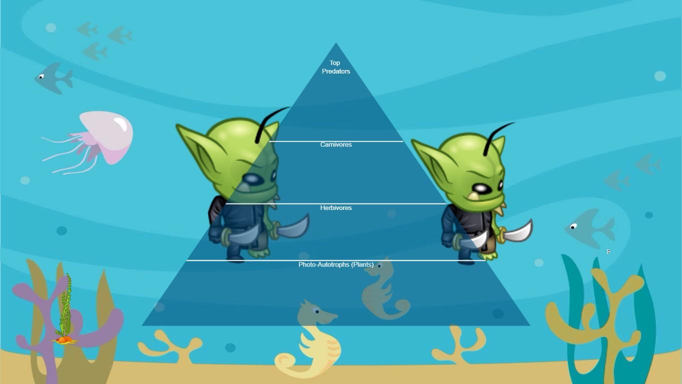 Ocean Ecological Pyramid