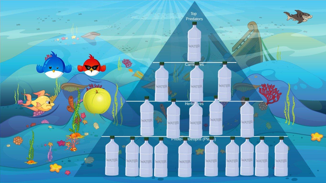 Ocean Ecological Pyramid