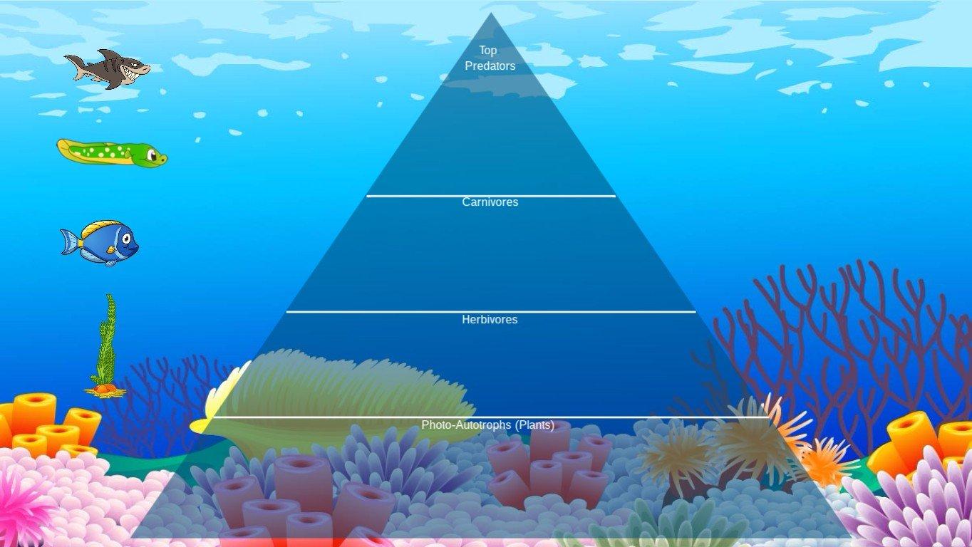 Ocean Ecological Pyramid