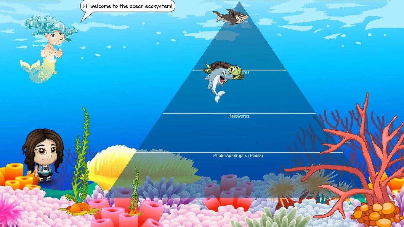 Ocean Ecological Pyramid