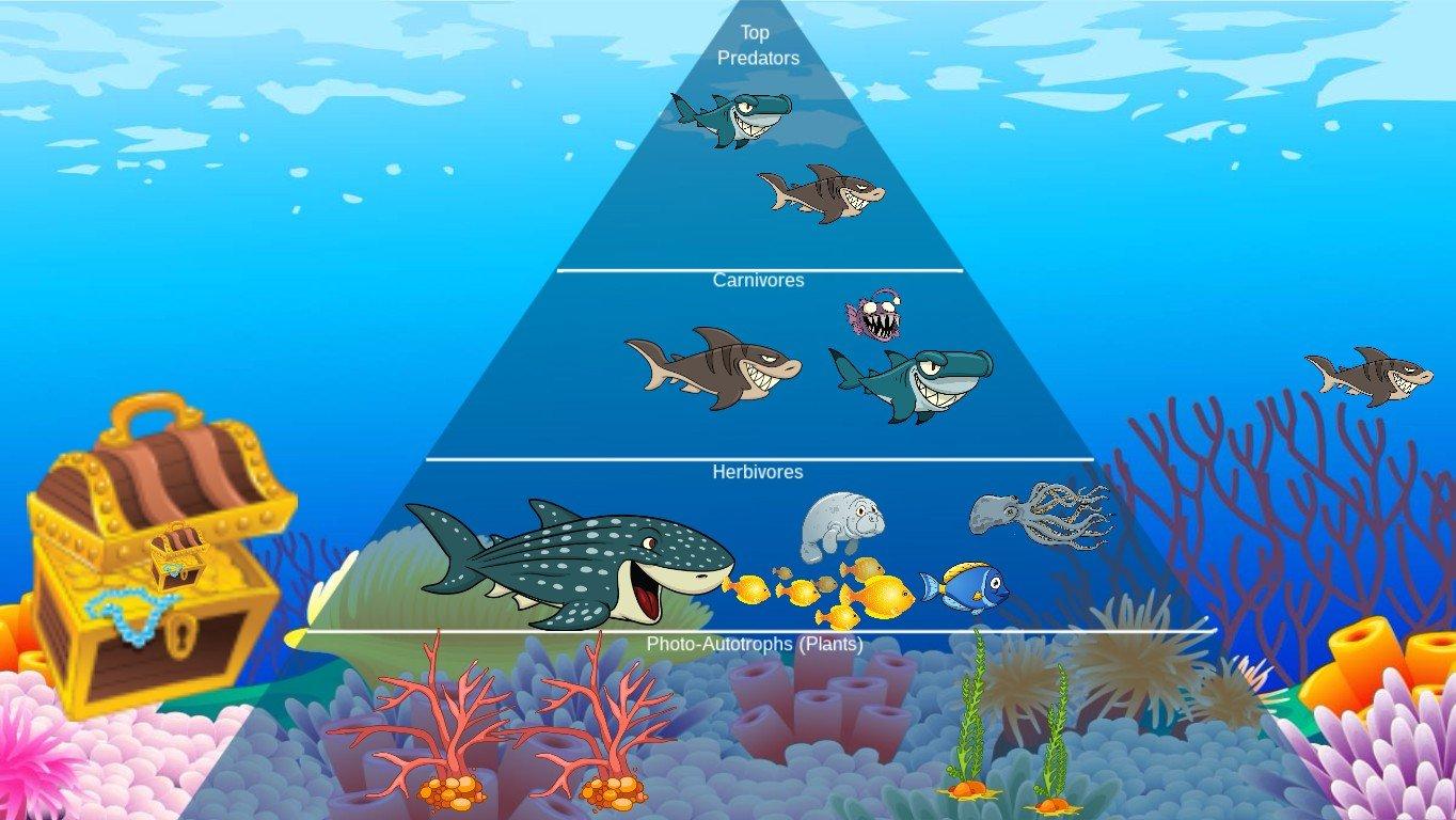 Ocean Ecological Pyramid