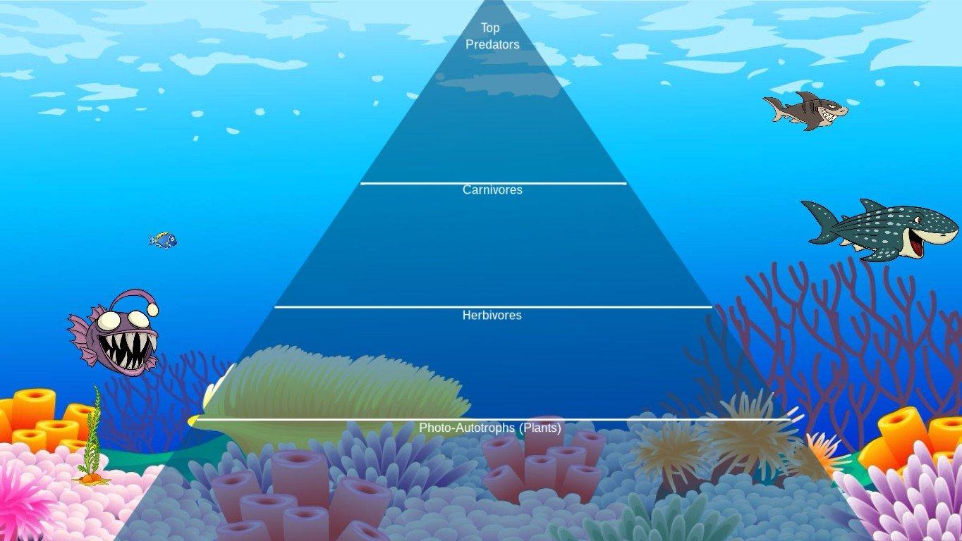 Ocean Ecological Pyramid