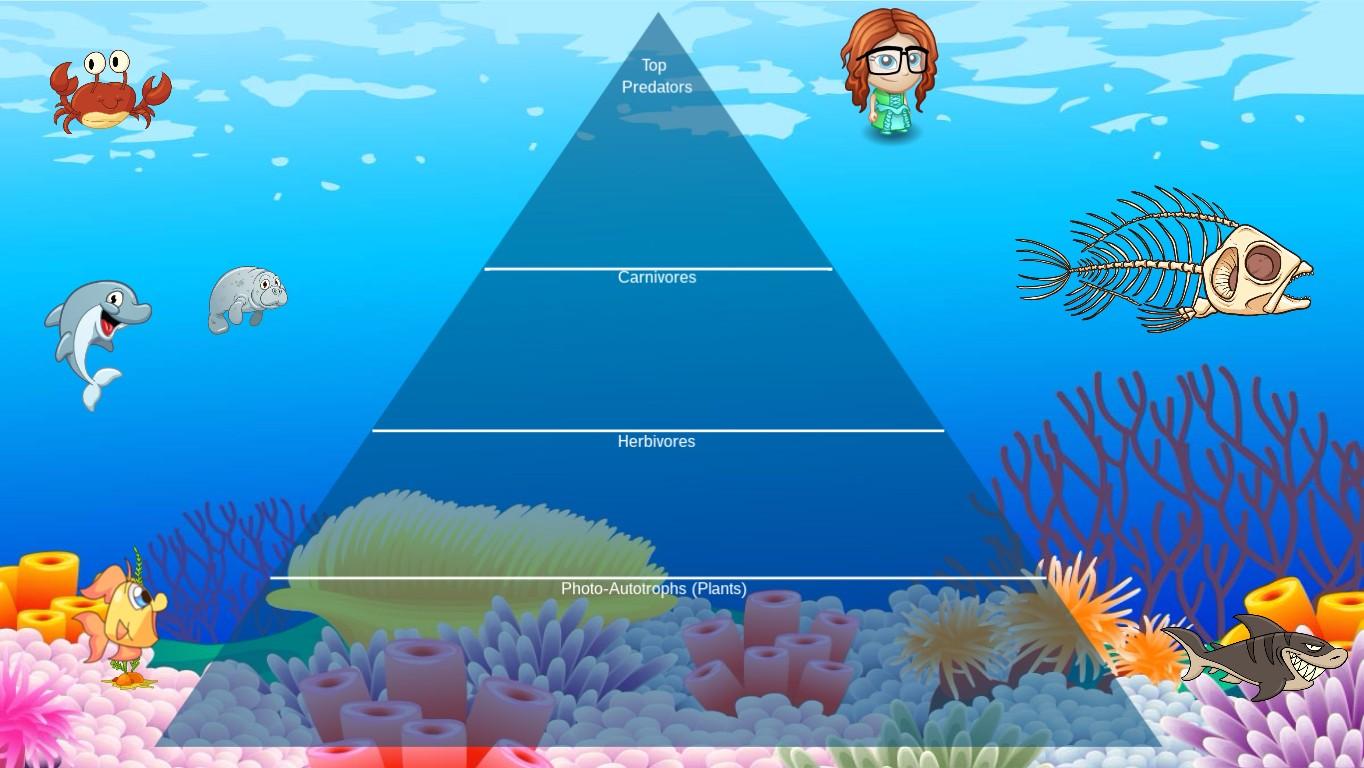 Ocean Ecological Pyramid