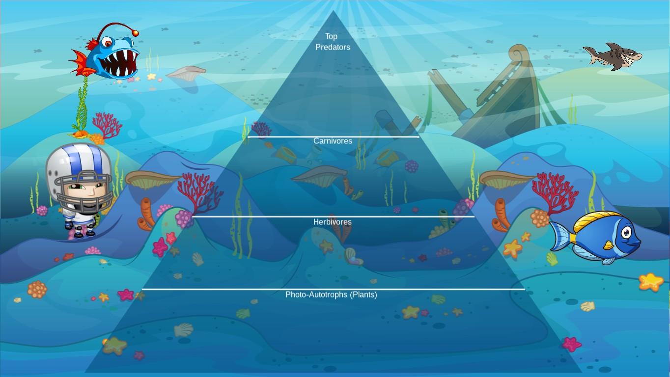 Ocean Ecological Pyramid