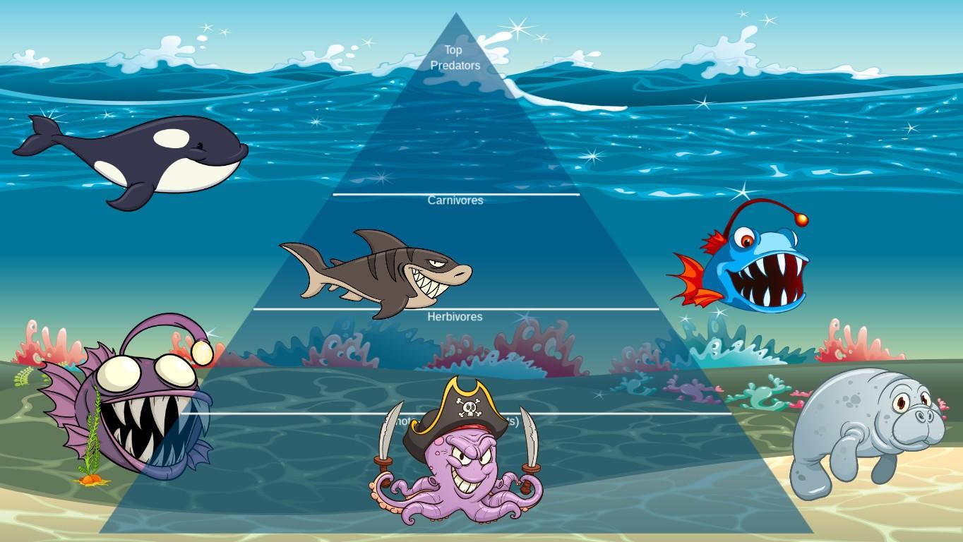 Ocean Ecological Pyramid