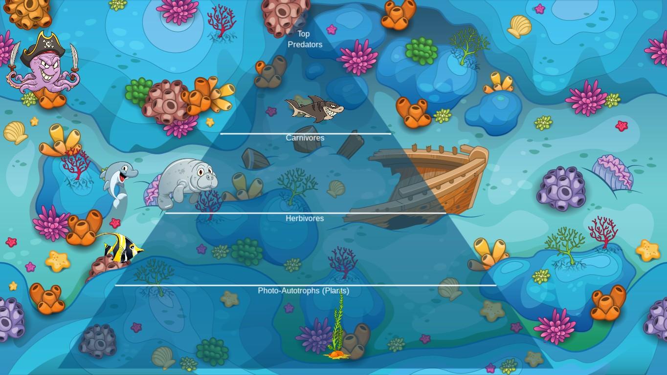 Ocean Ecological Pyramid