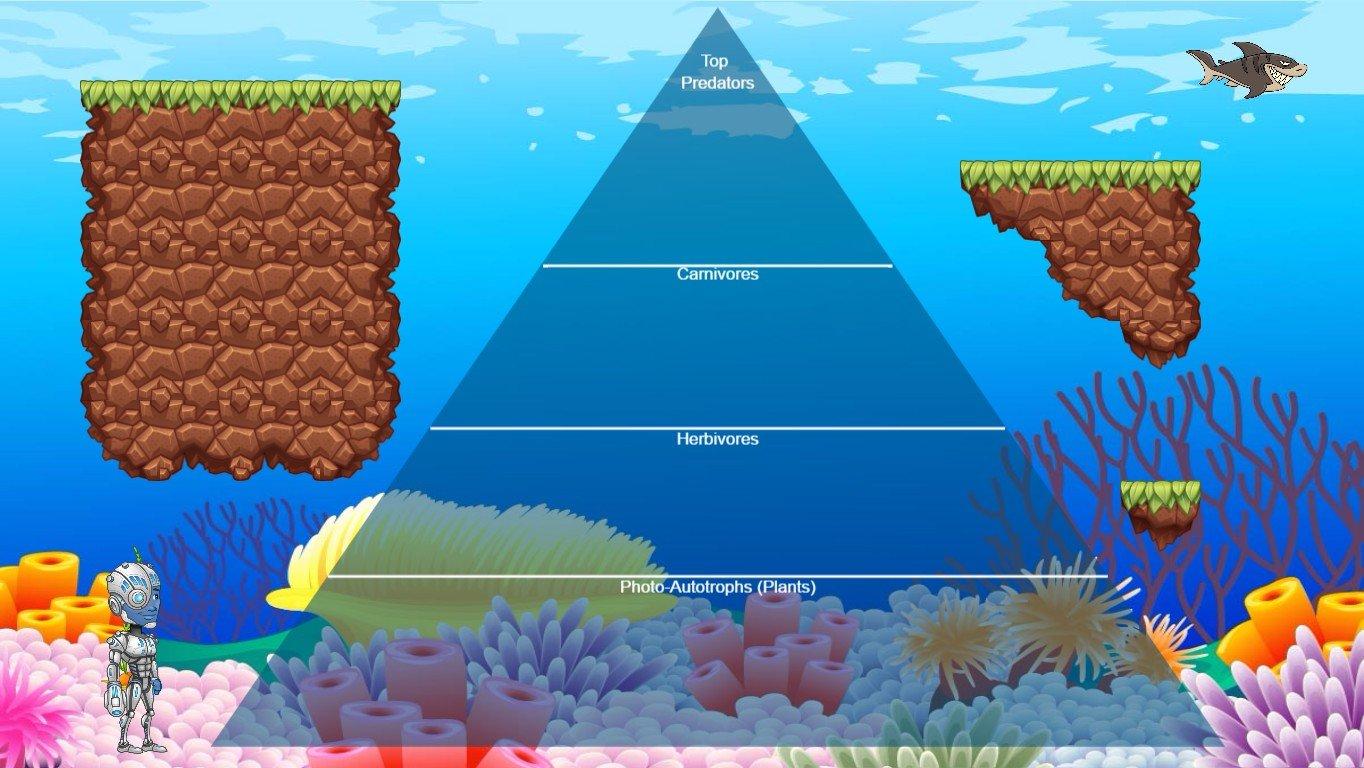 Ocean Ecological Pyramid