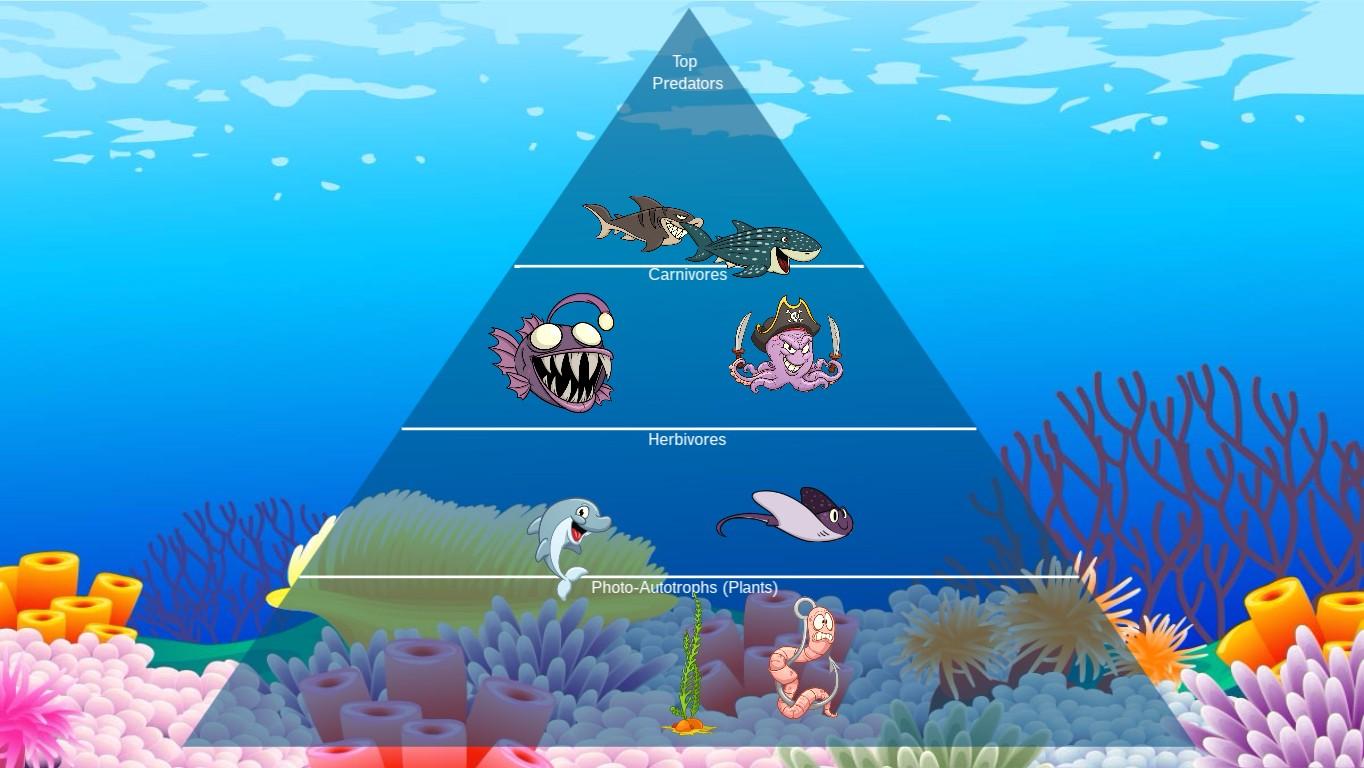 Ocean Ecological Pyramid