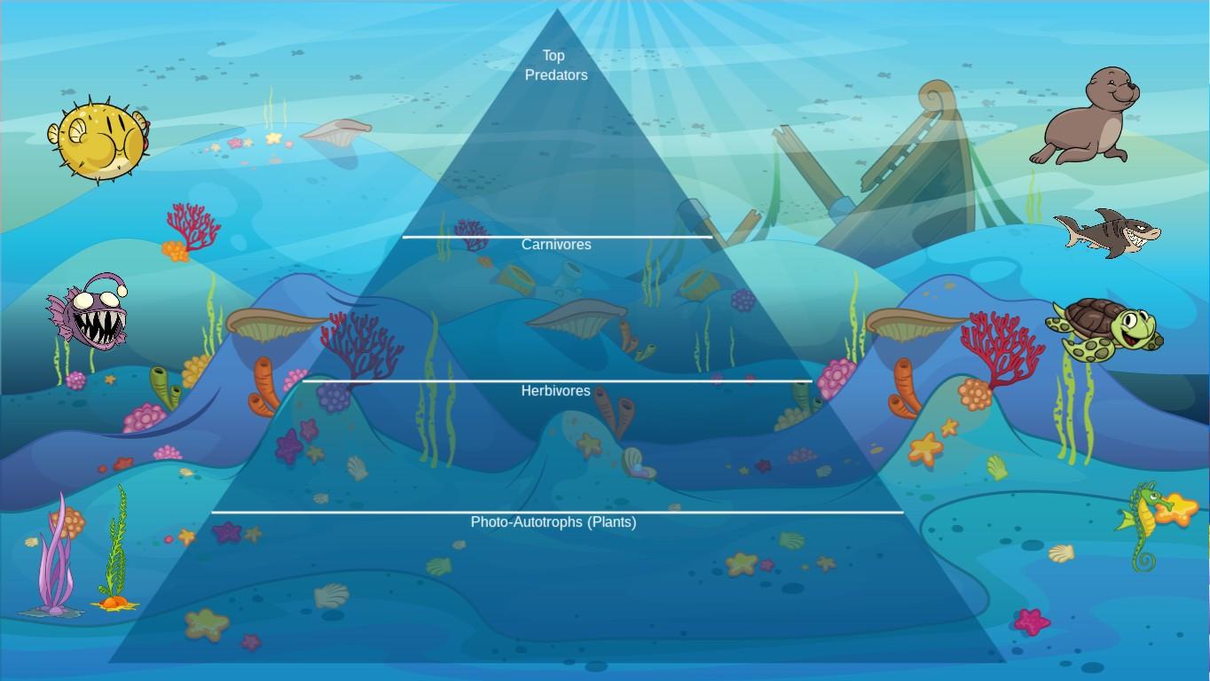 Ocean Ecological Pyramid