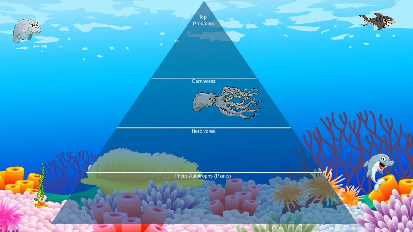 Ocean Ecological Pyramid