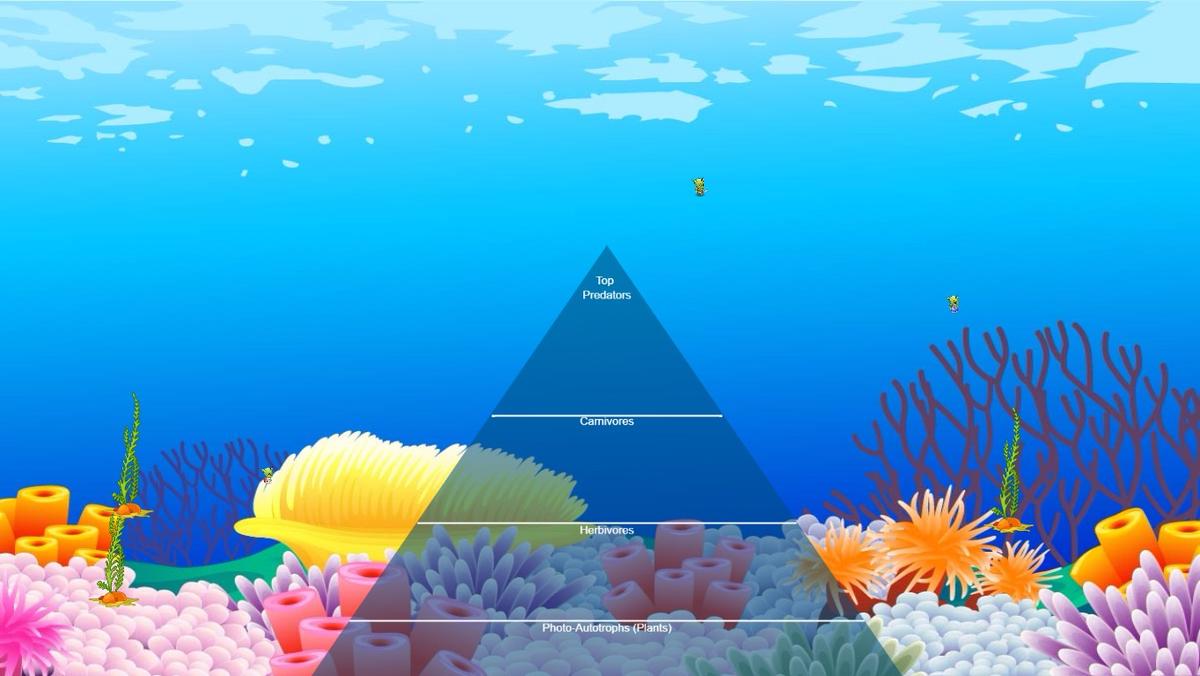 Ocean Ecological Pyramid