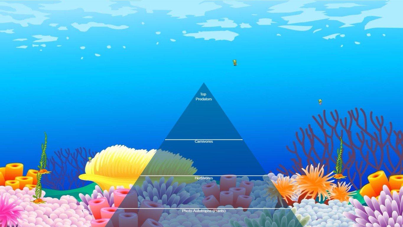 Ocean Ecological Pyramid