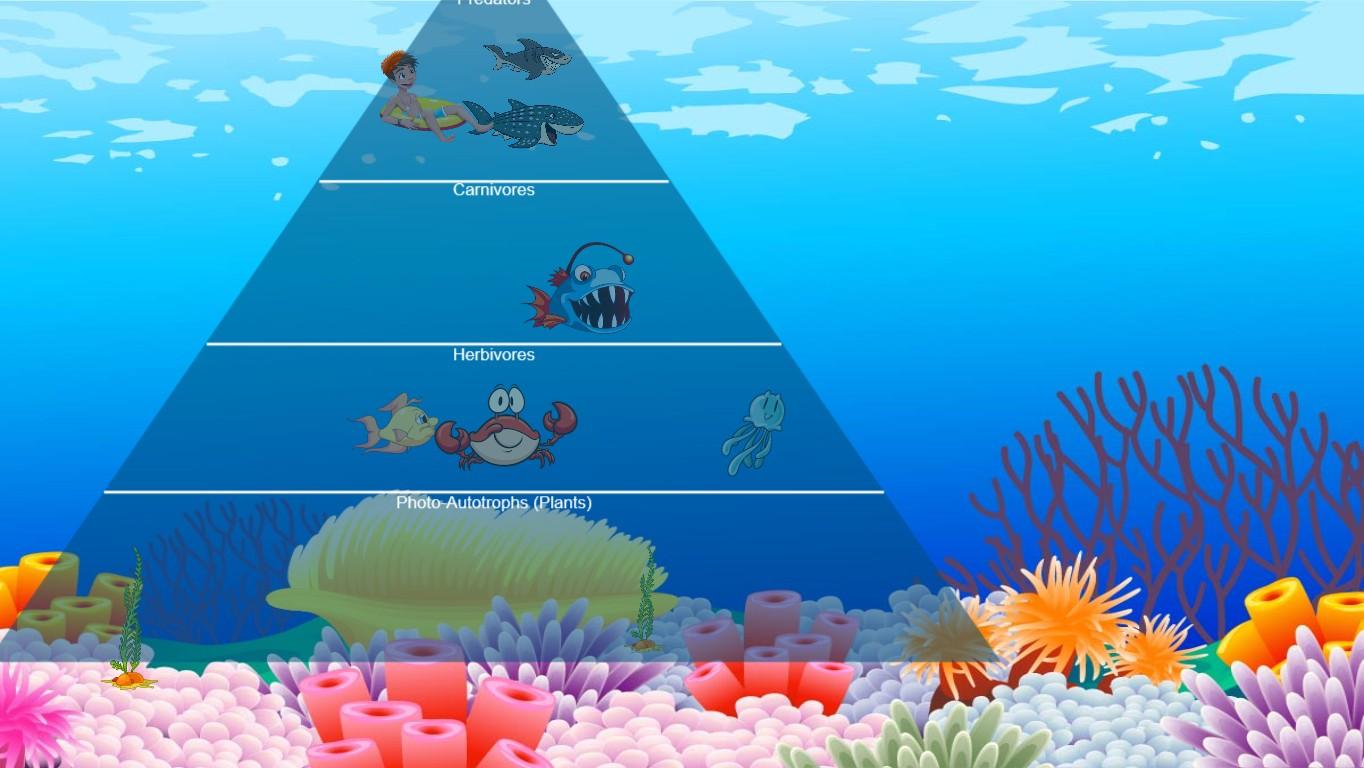 Ocean Ecological Pyramid