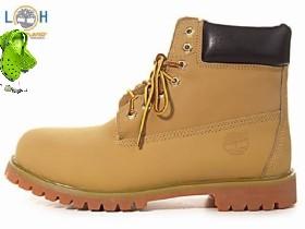 Timbs survival