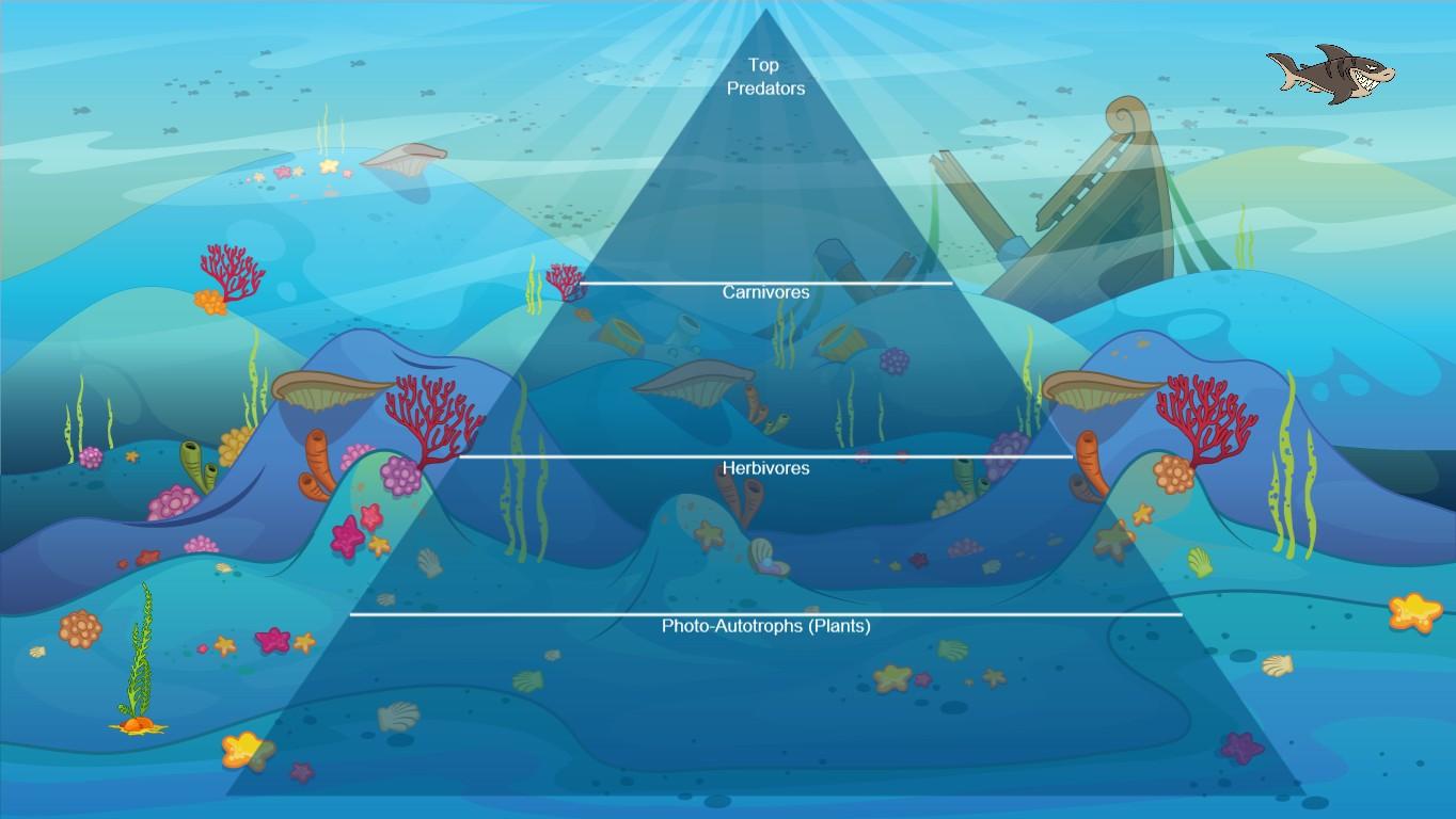 Ocean Ecological Pyramid