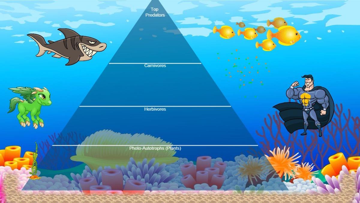 Ocean Ecological Pyramid