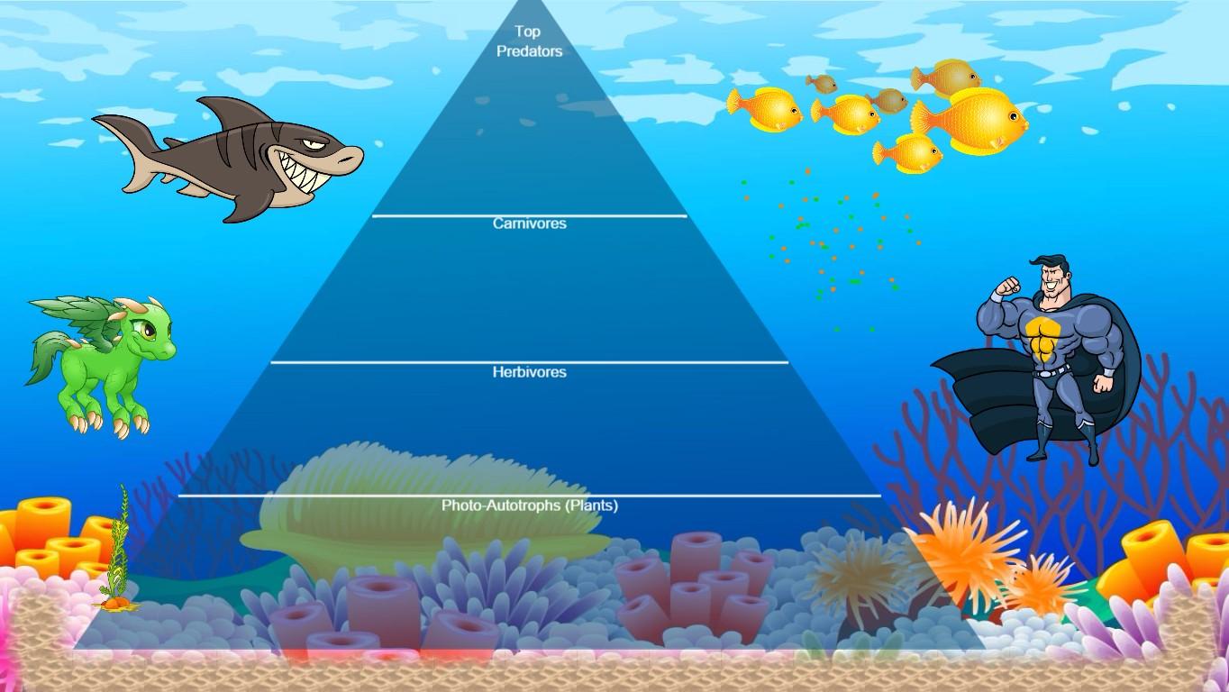 Ocean Ecological Pyramid