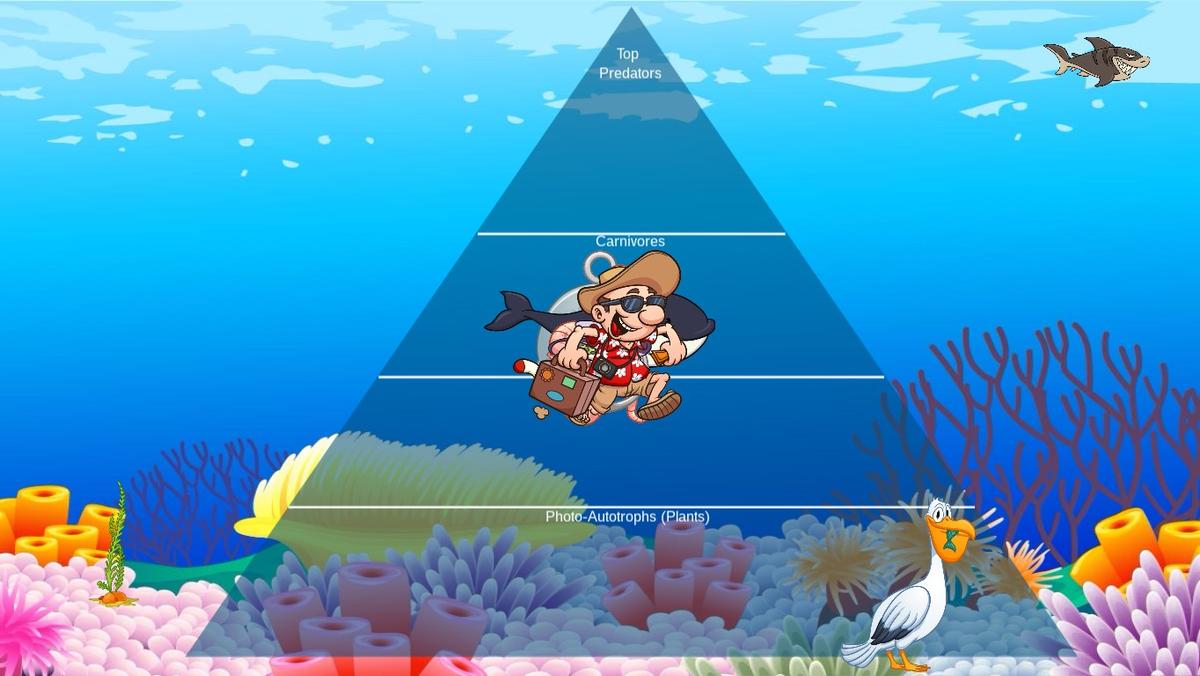 Ocean Ecological Pyramid