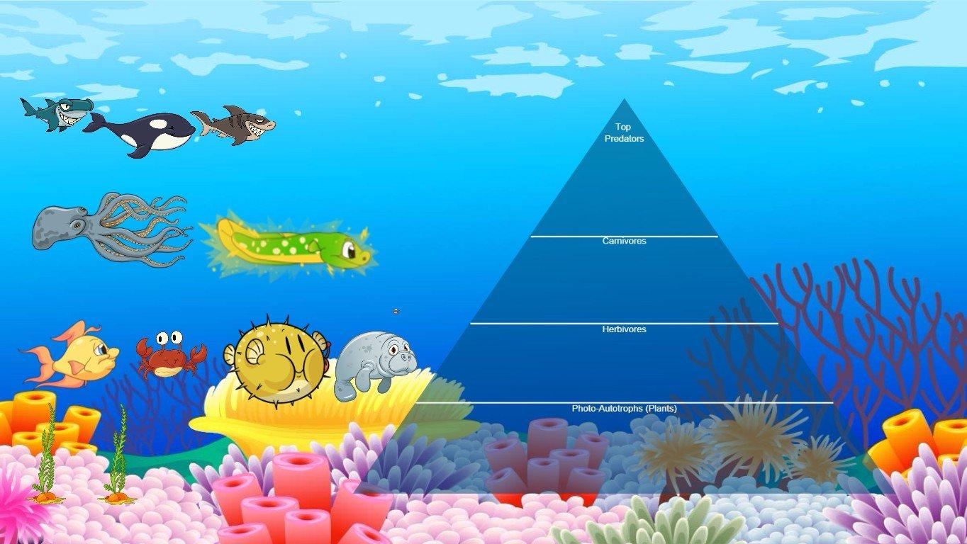 Ocean Ecological Pyramid