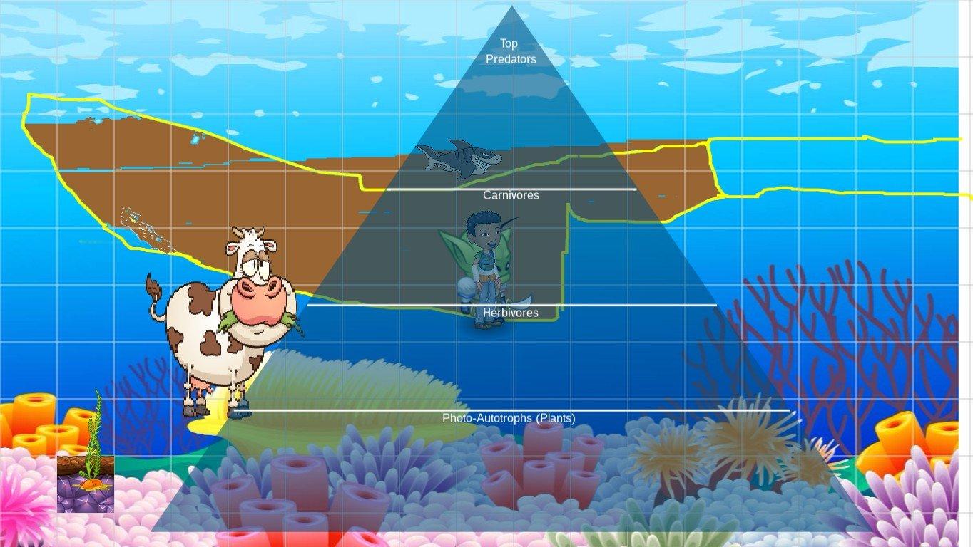 Ocean Ecological Pyramid