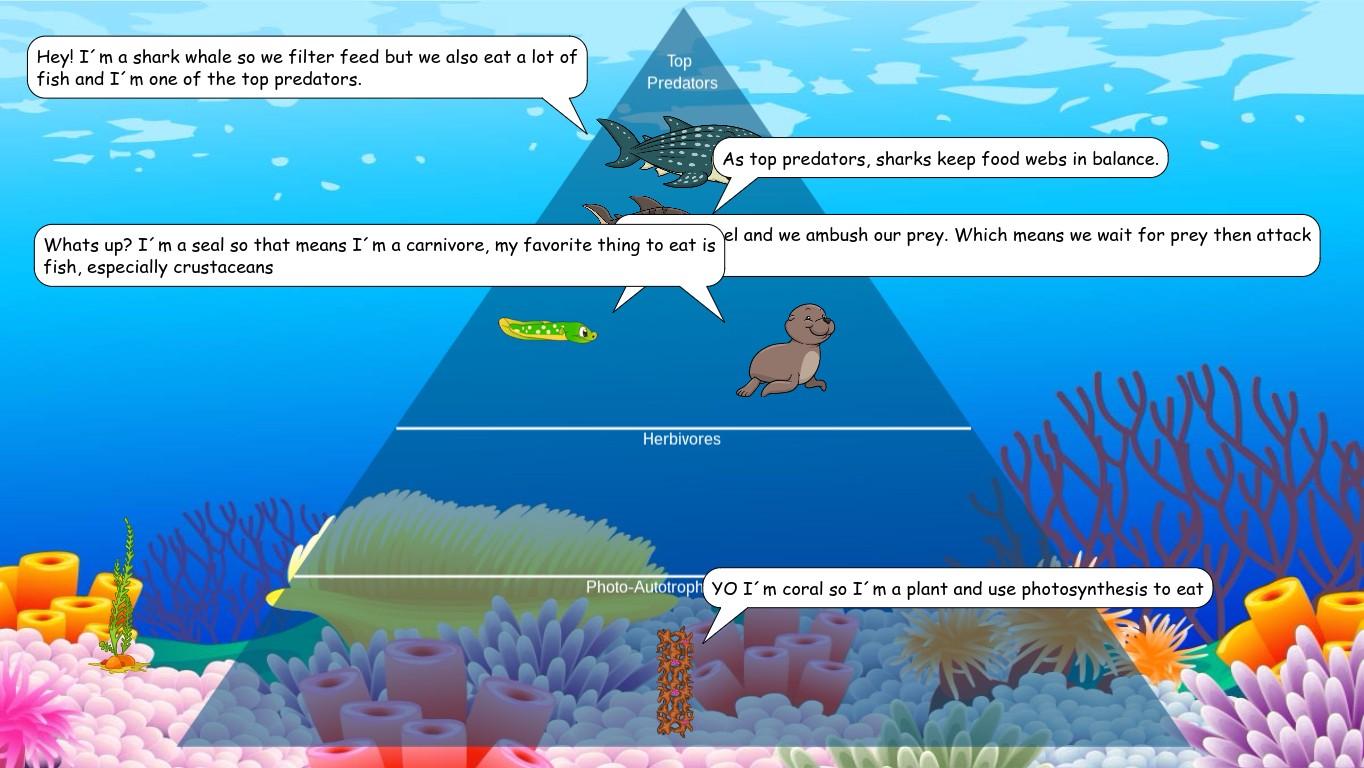 Ocean Ecological Pyramid