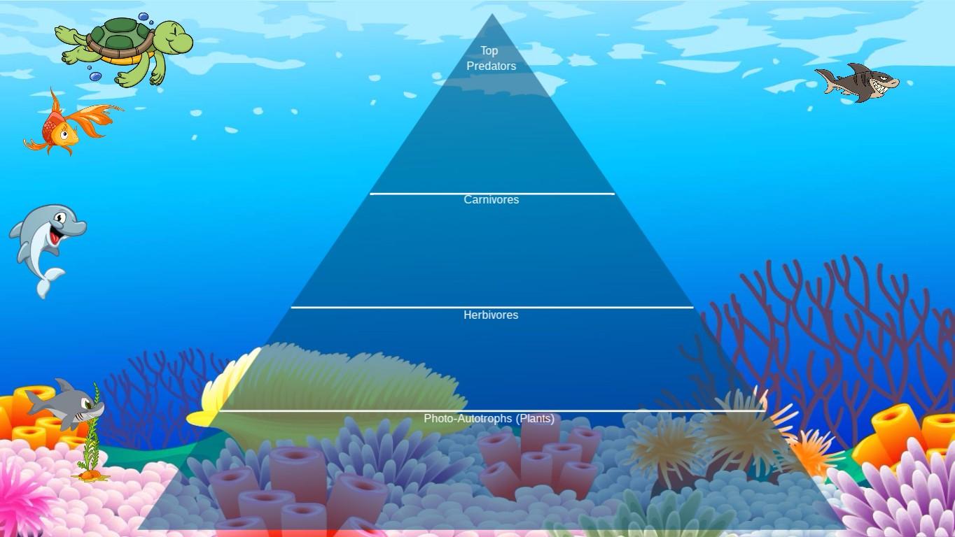 Ocean Ecological Pyramid